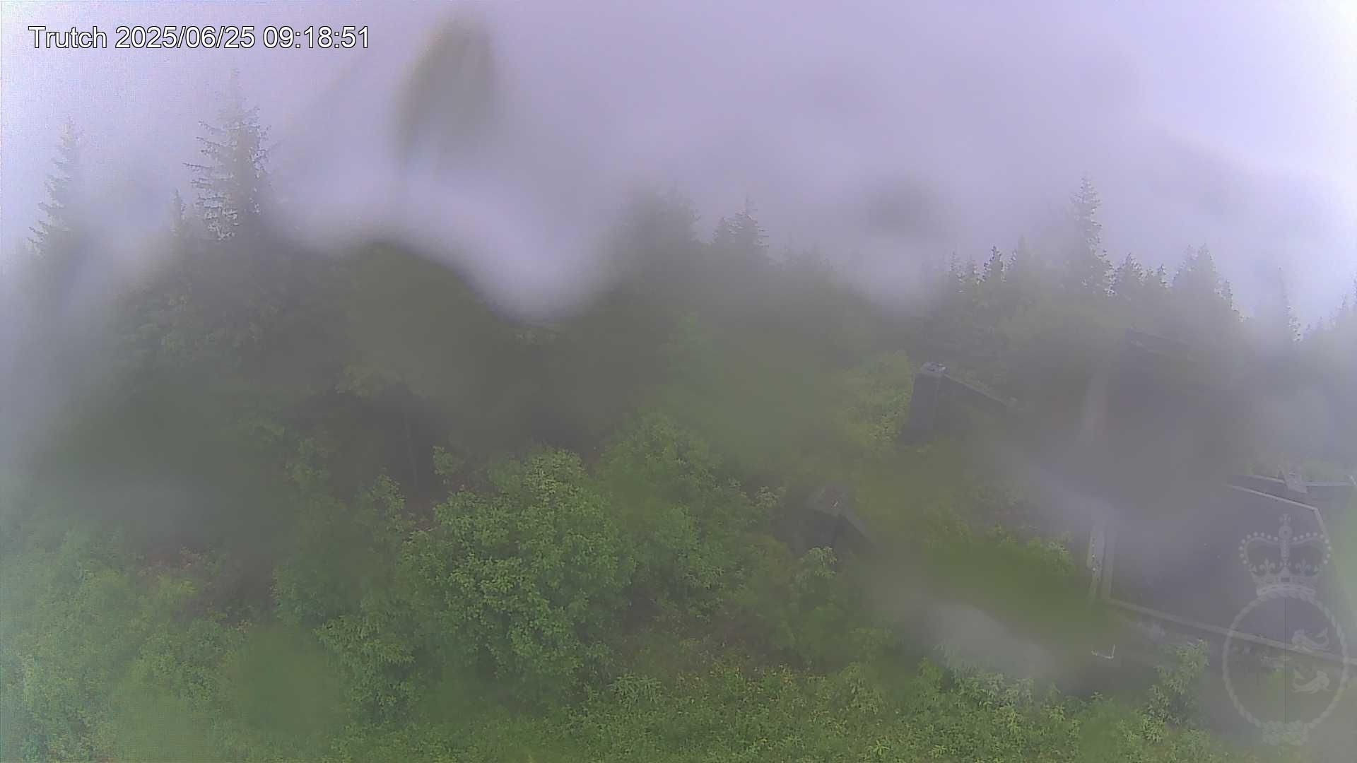 Traffic Cam Area C
