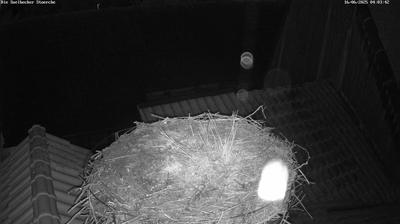 Ahlshausen other webcam