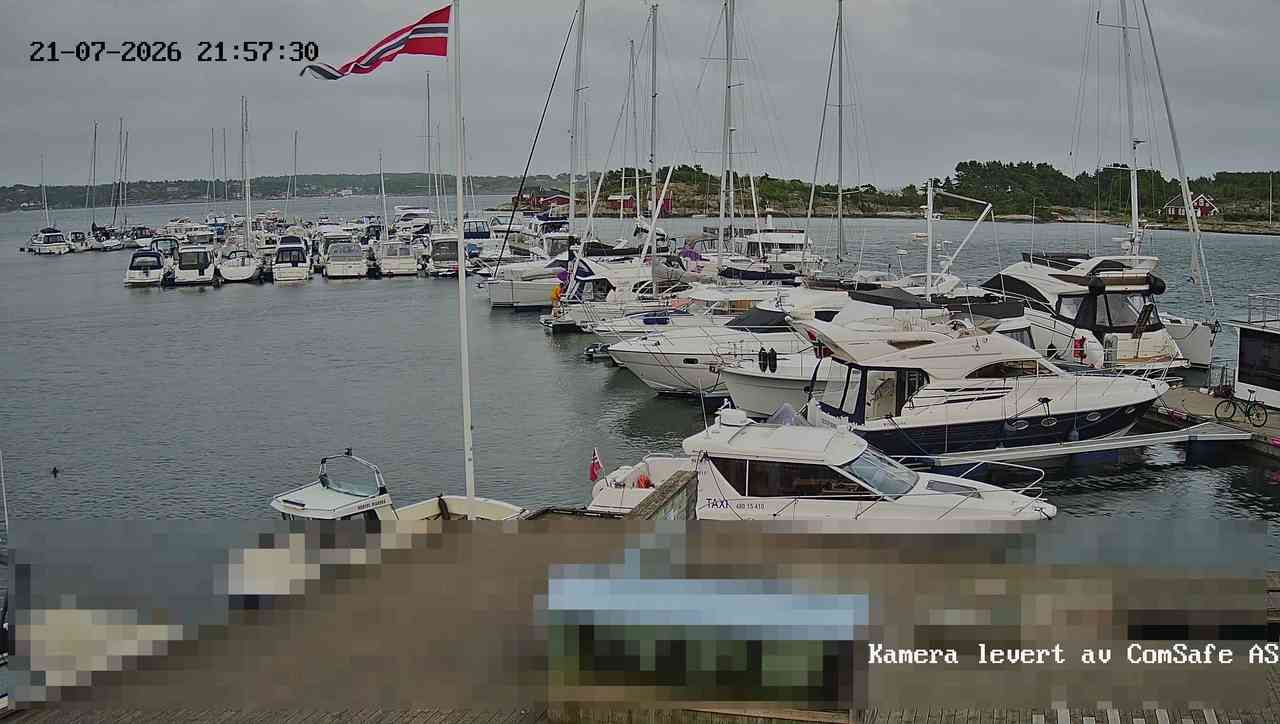 Hvaler på dagtid