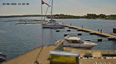 Hvaler i dag