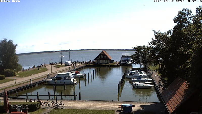 Born harbor Webcam