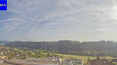 North Stallikon: City, Forest & Weather View