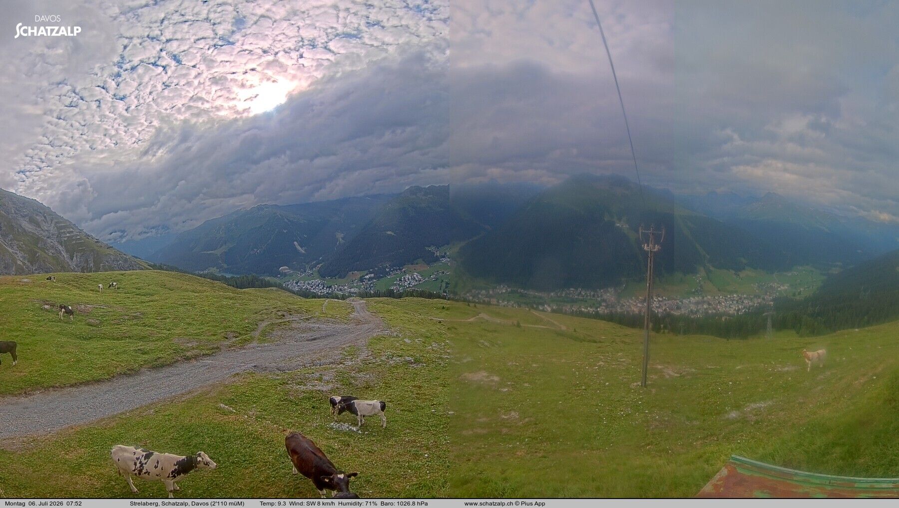 Davos: Strelaberg