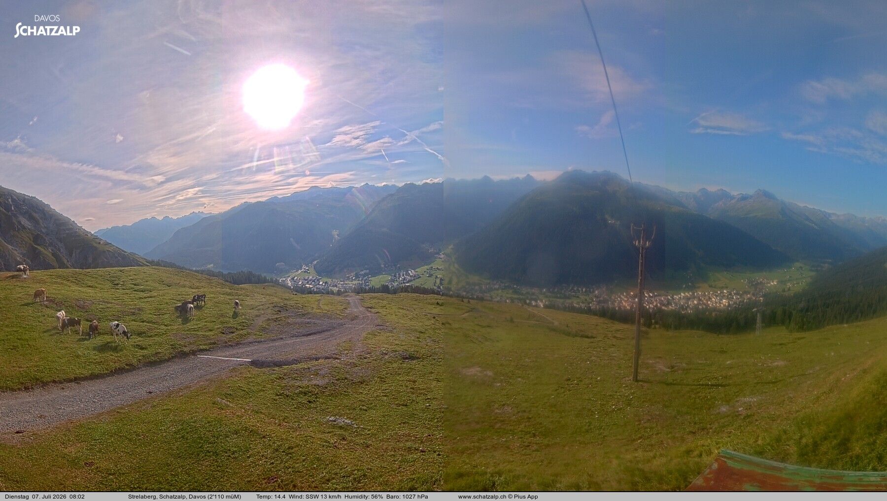 Davos: Strelaberg