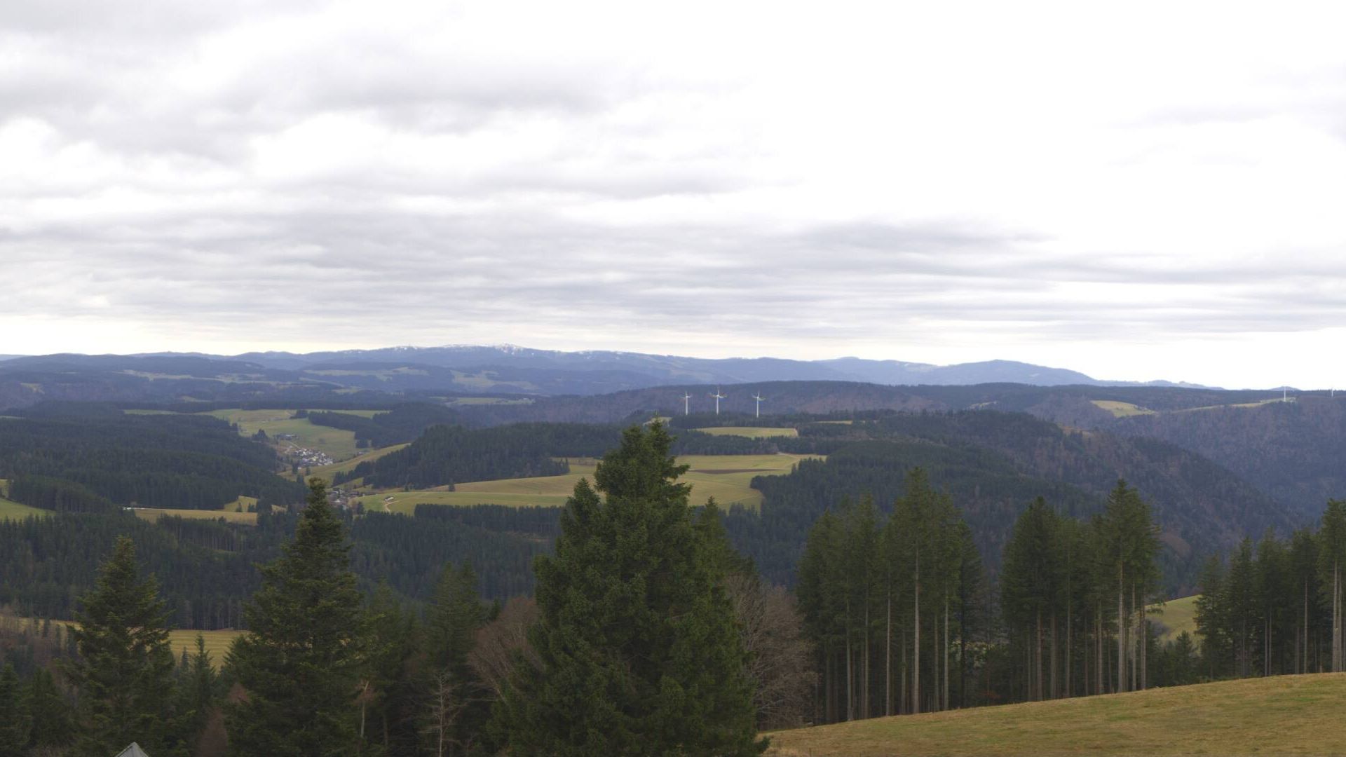 Windy Webcams Furtwangen Im Schwarzwald Brend Feldberg Kandel