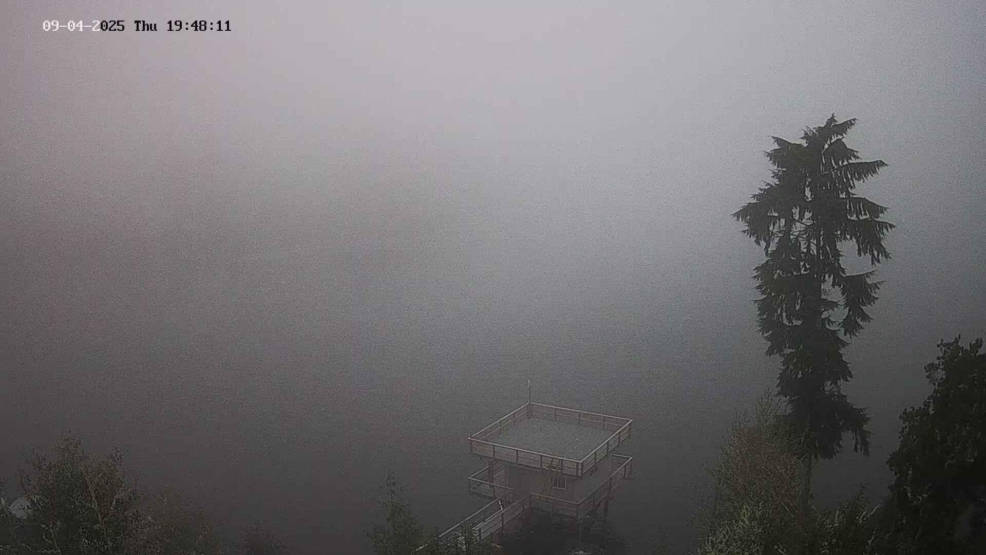 Traffic Cam Area A: Pacific Ocean