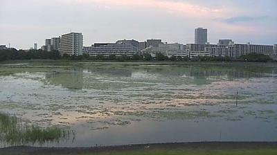 Narashino Weather: Chiba, Japan