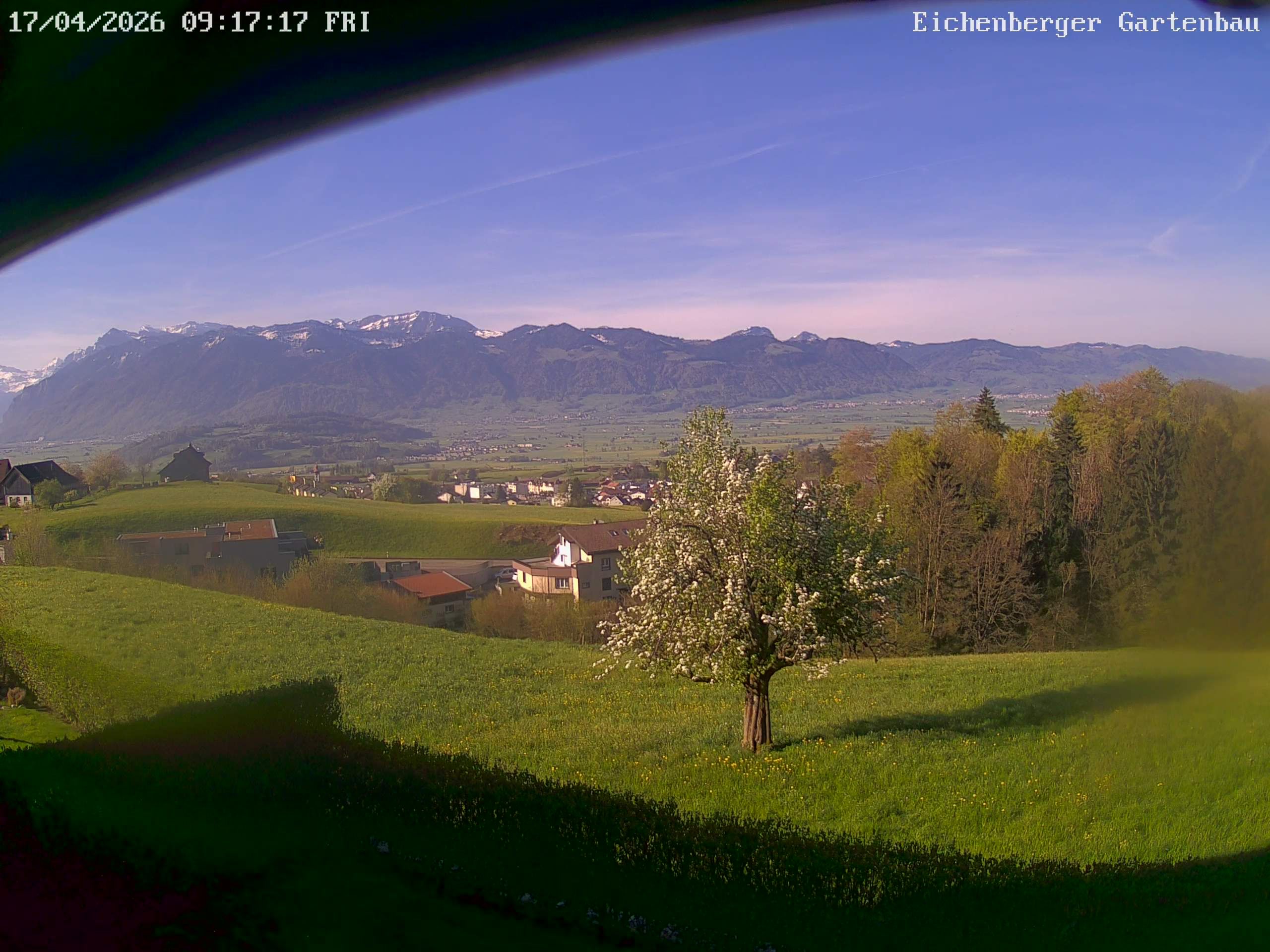 Gommiswald › Westen: Linthebenemelioration