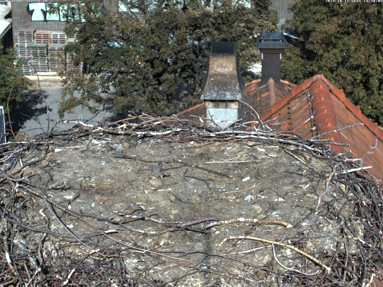 Bern