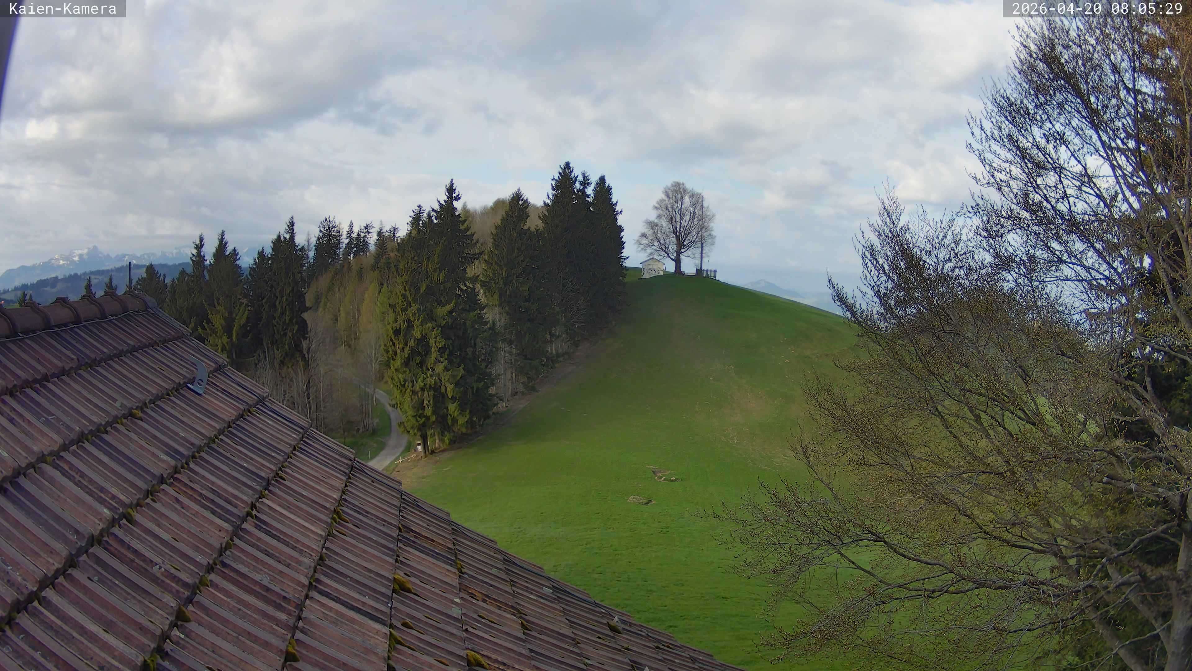 Rehetobel: Kaienspitz