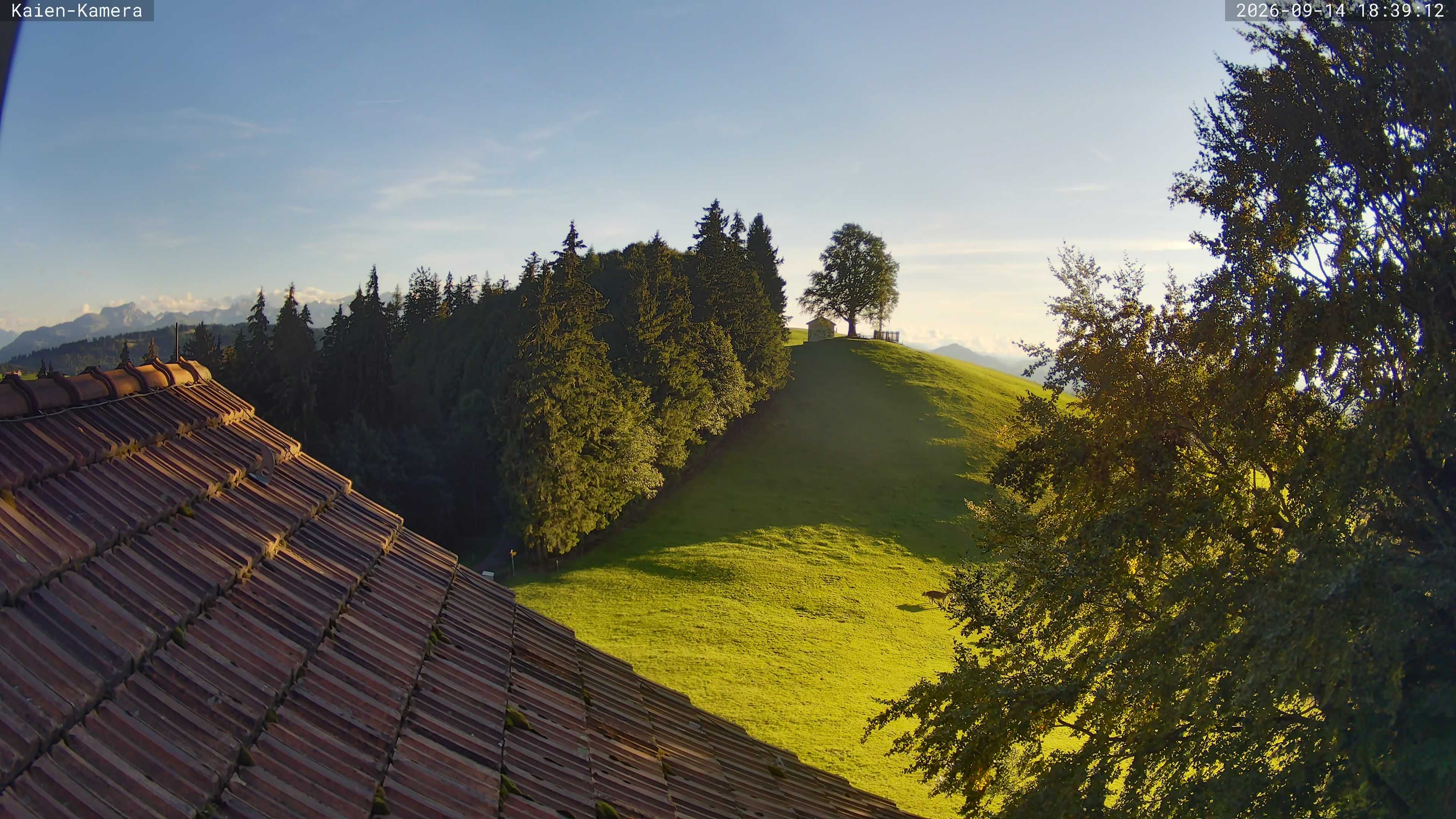 Rehetobel: Kaienspitz