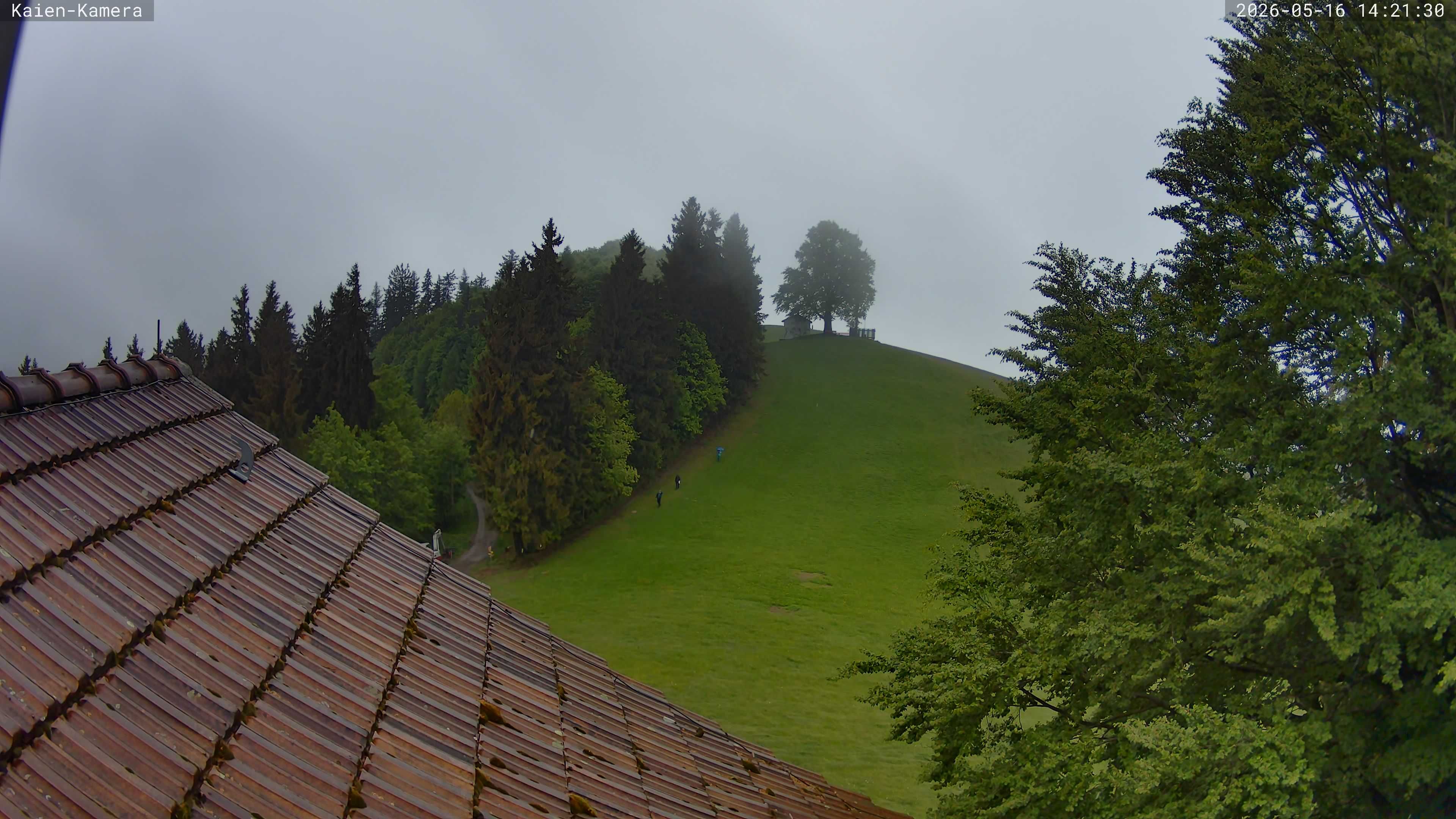 Rehetobel: Kaienspitz