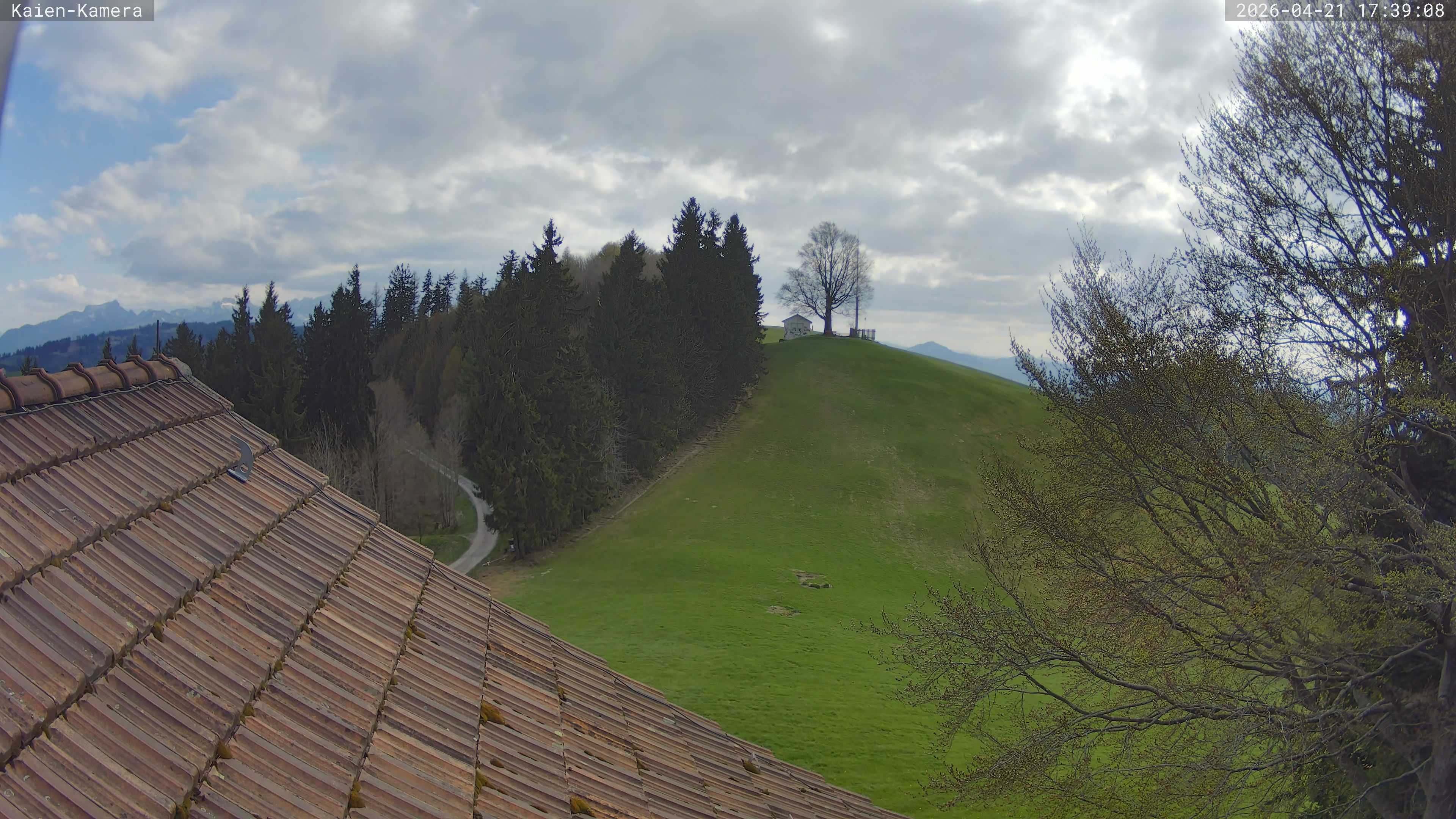 Rehetobel: Kaienspitz