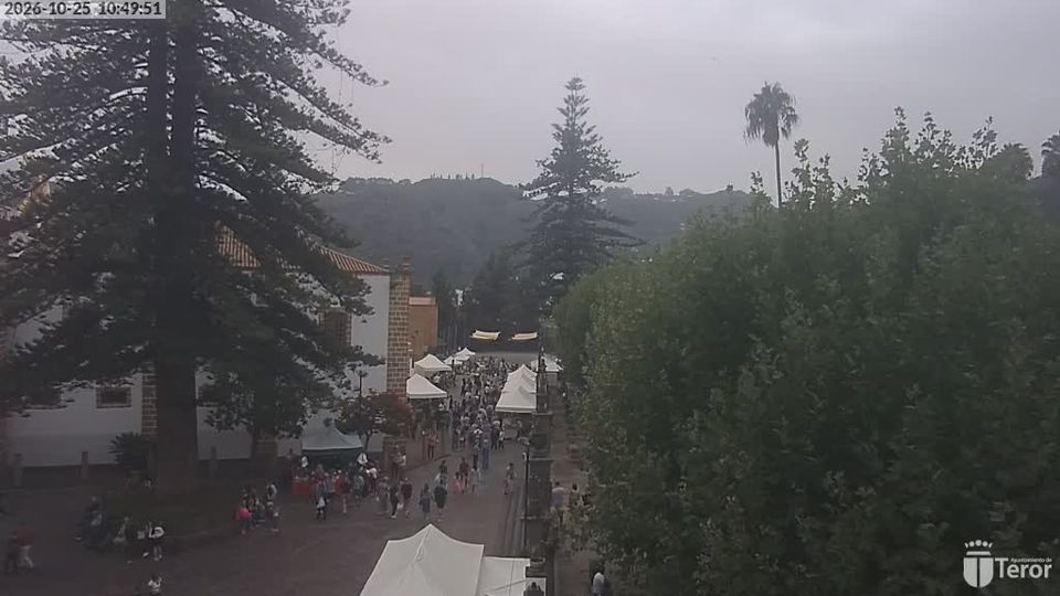 Teror webcam