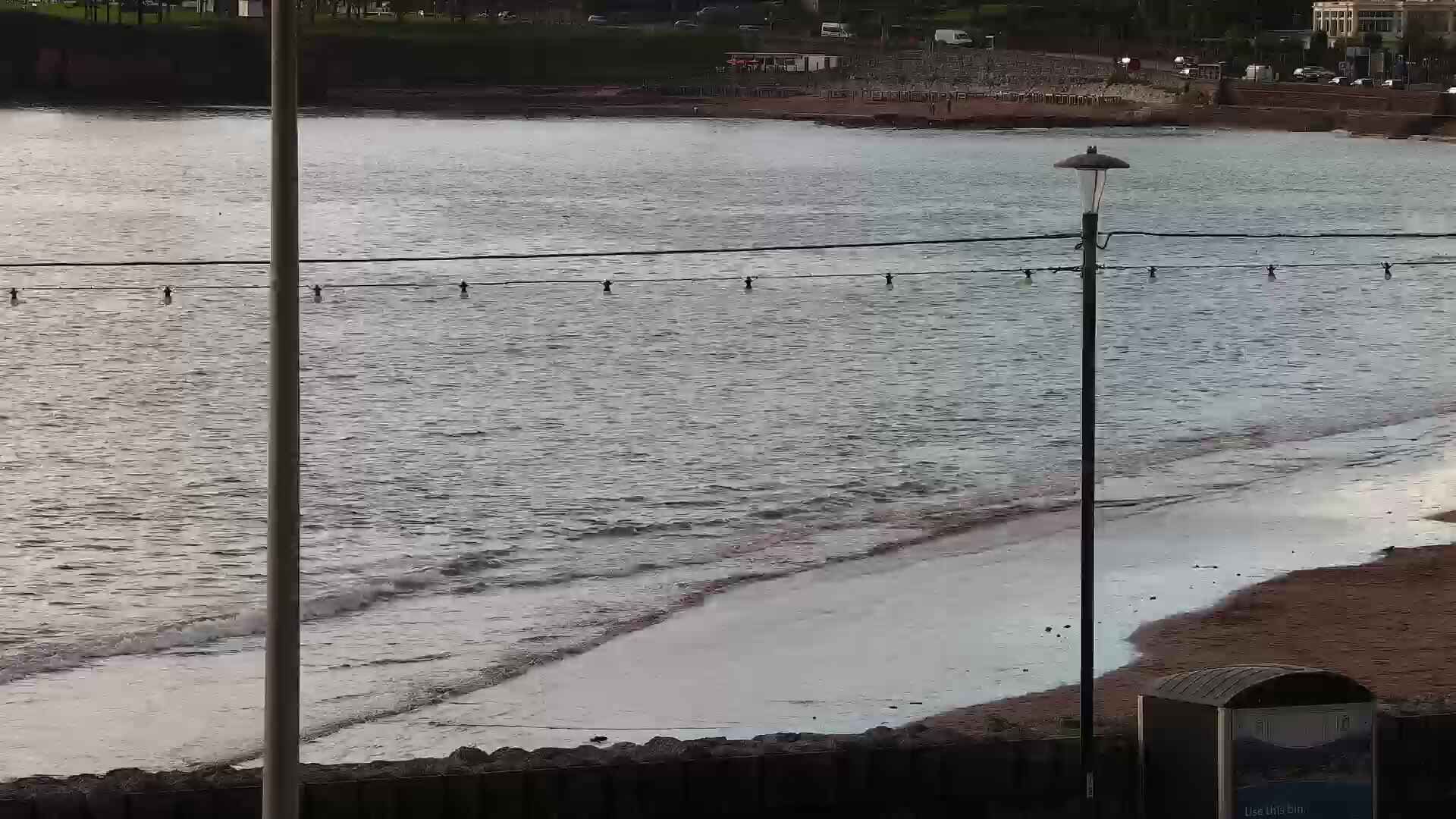Paigntons Cityscape and Water Views Webcam