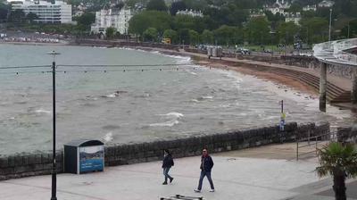 Paigntons Cityscape and Water Views