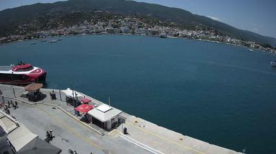 Hydra today