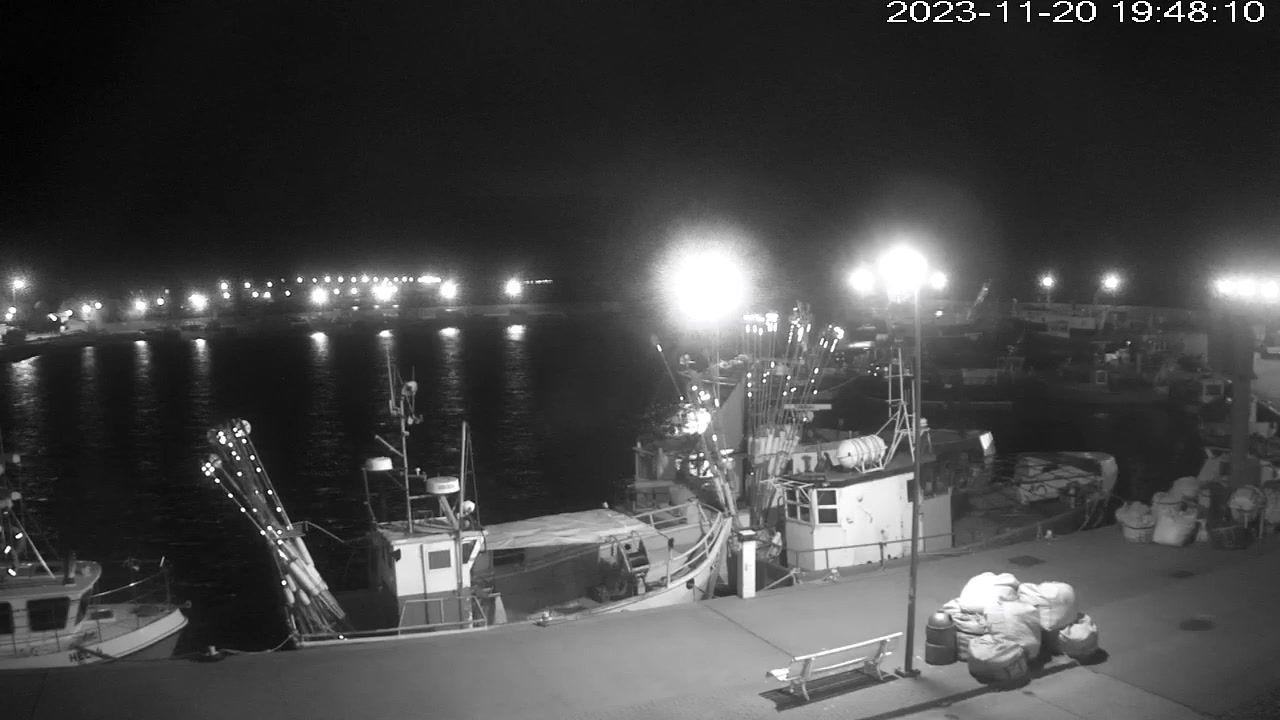 Traffic Cam Jastarnia › South-East: Puck Bay