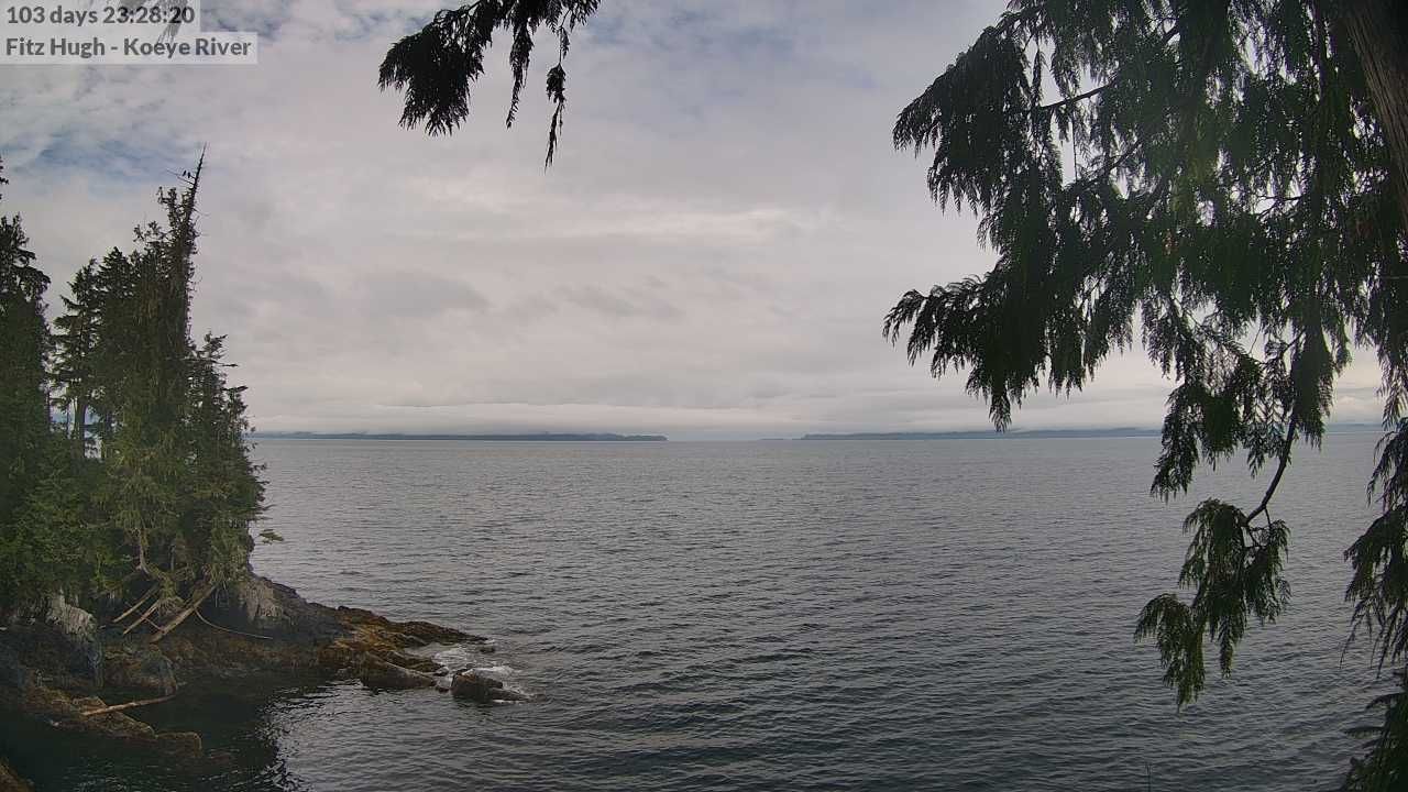 Traffic Cam British Columbia: Koeye River Mouth
