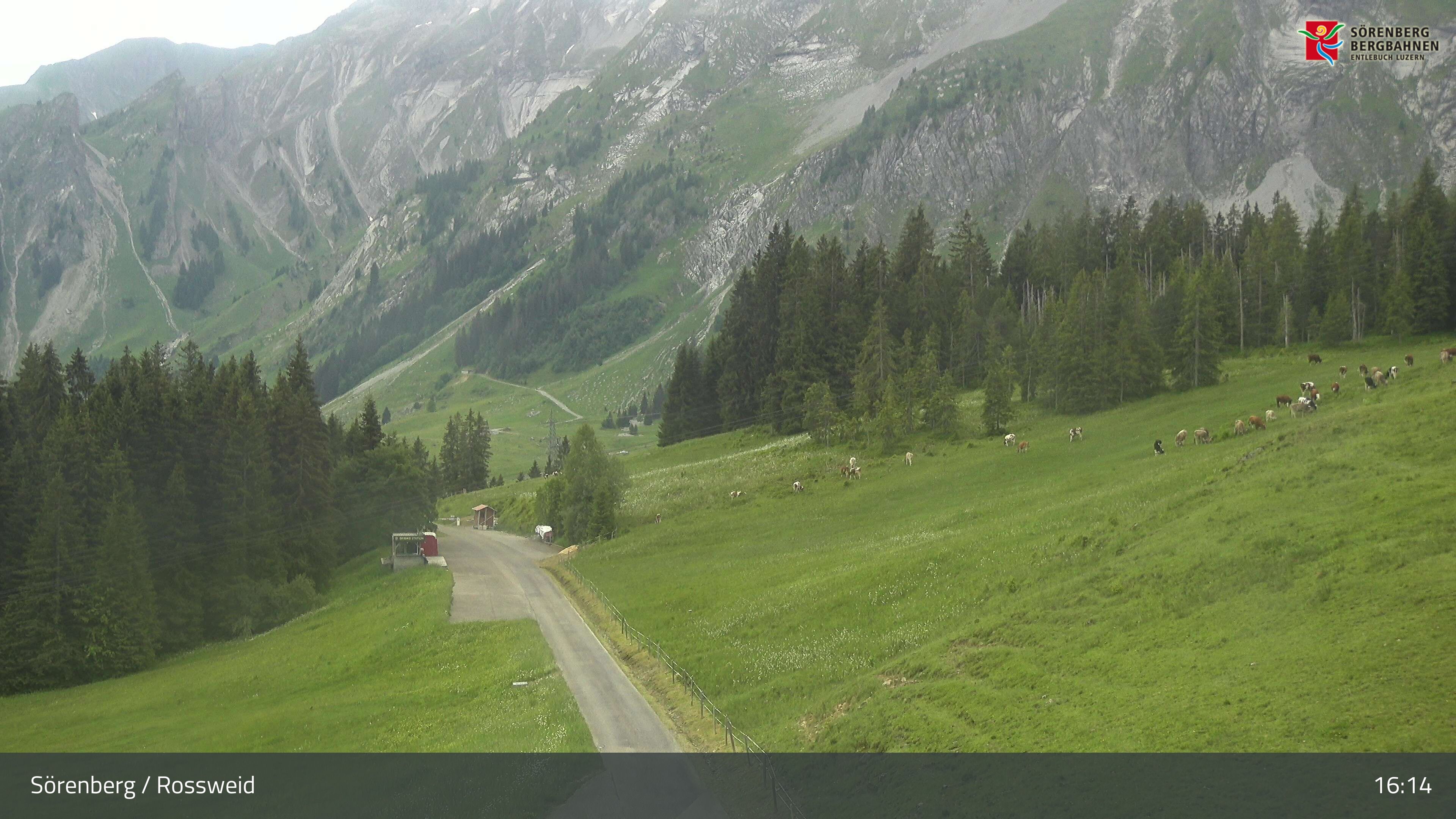 Sörenberg › Südosten: Skibike Snowbike test and rent Sörenberg