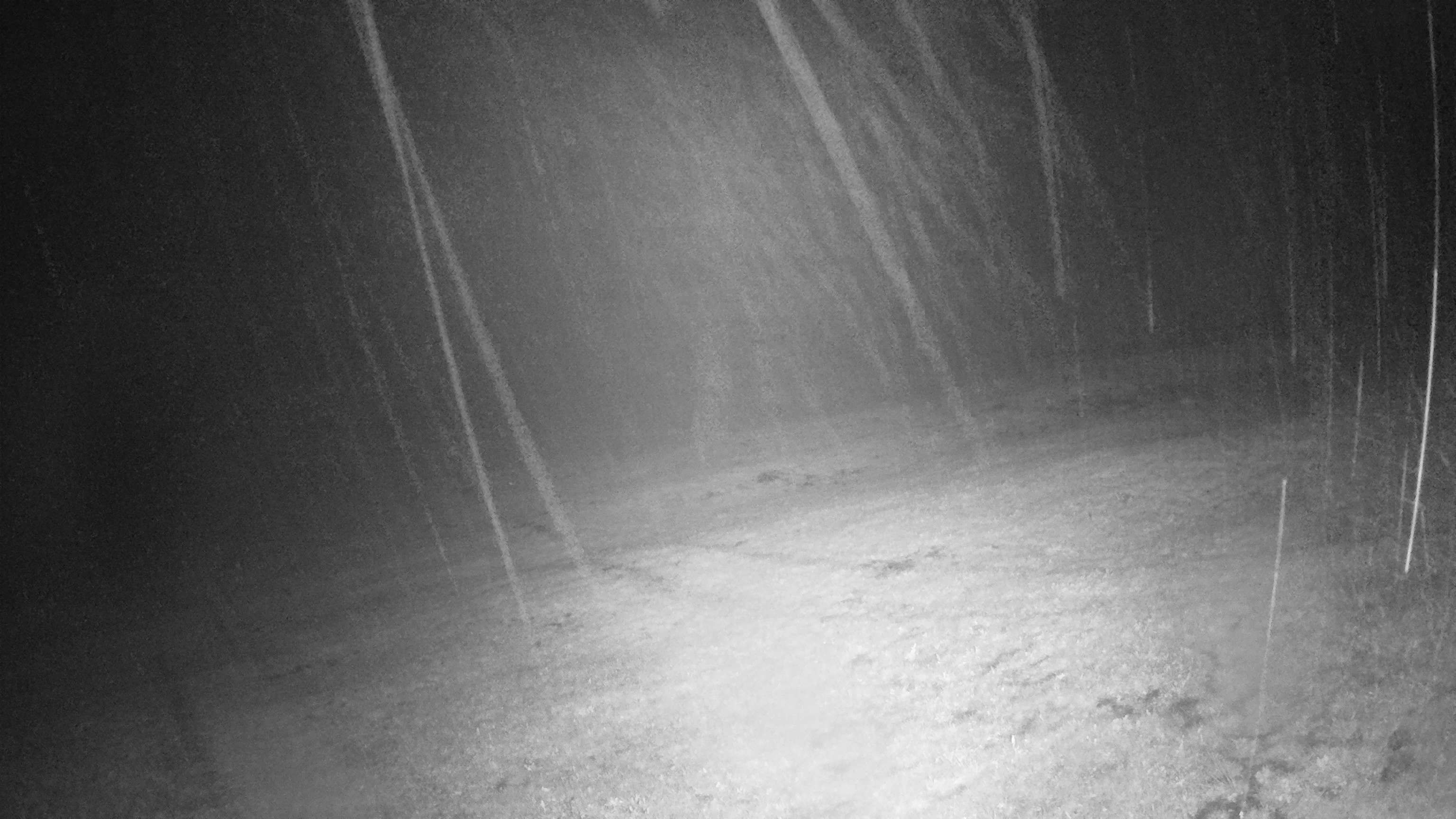 Ebnat-Kappel › Norden: Skigebiet Tanzboden - Skigebiet Tanzobden, Toggenburg