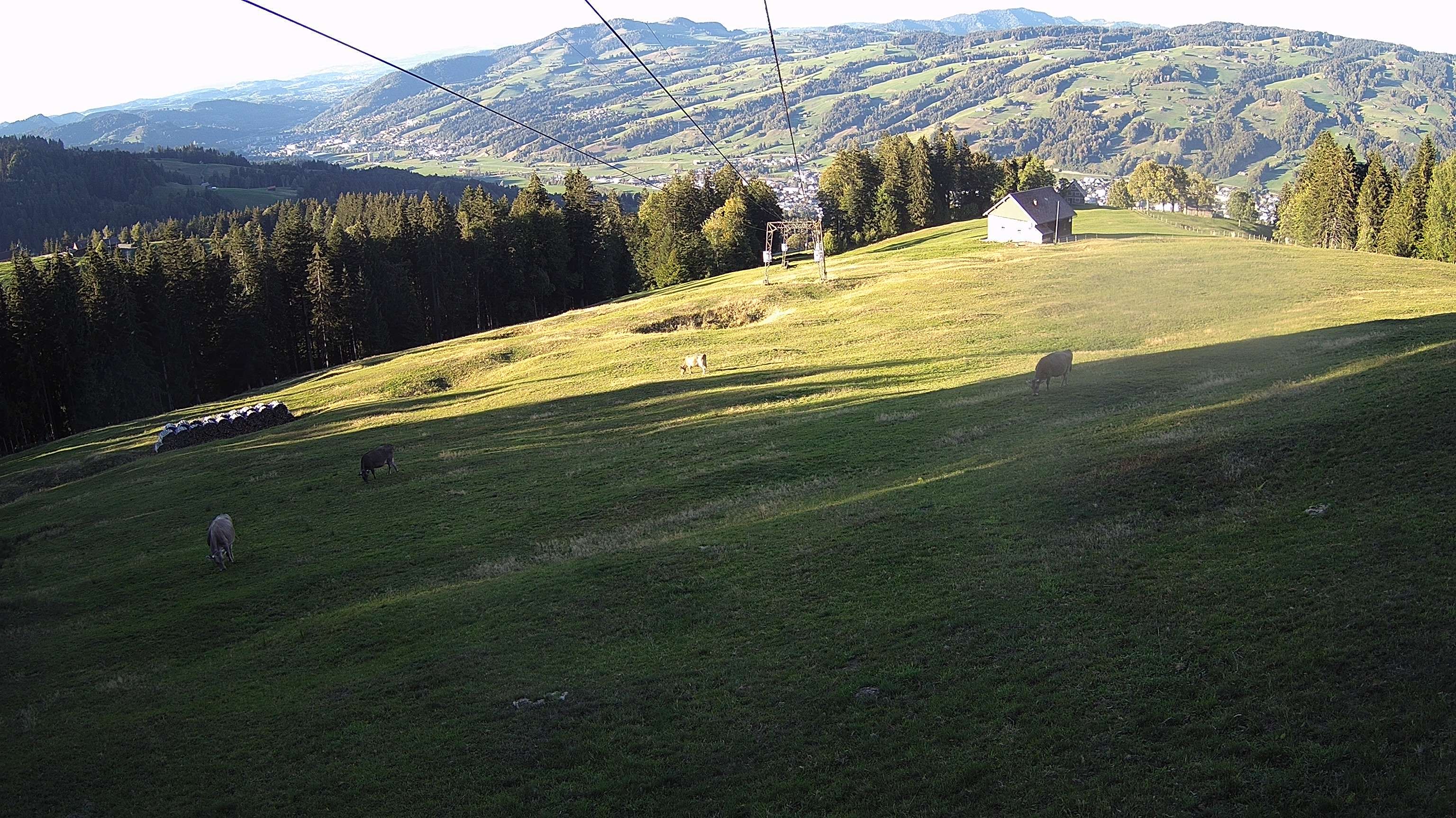 Ebnat-Kappel › Norden: Familienskilift Tanzboden Genossenschaft Ebnat Kappel
