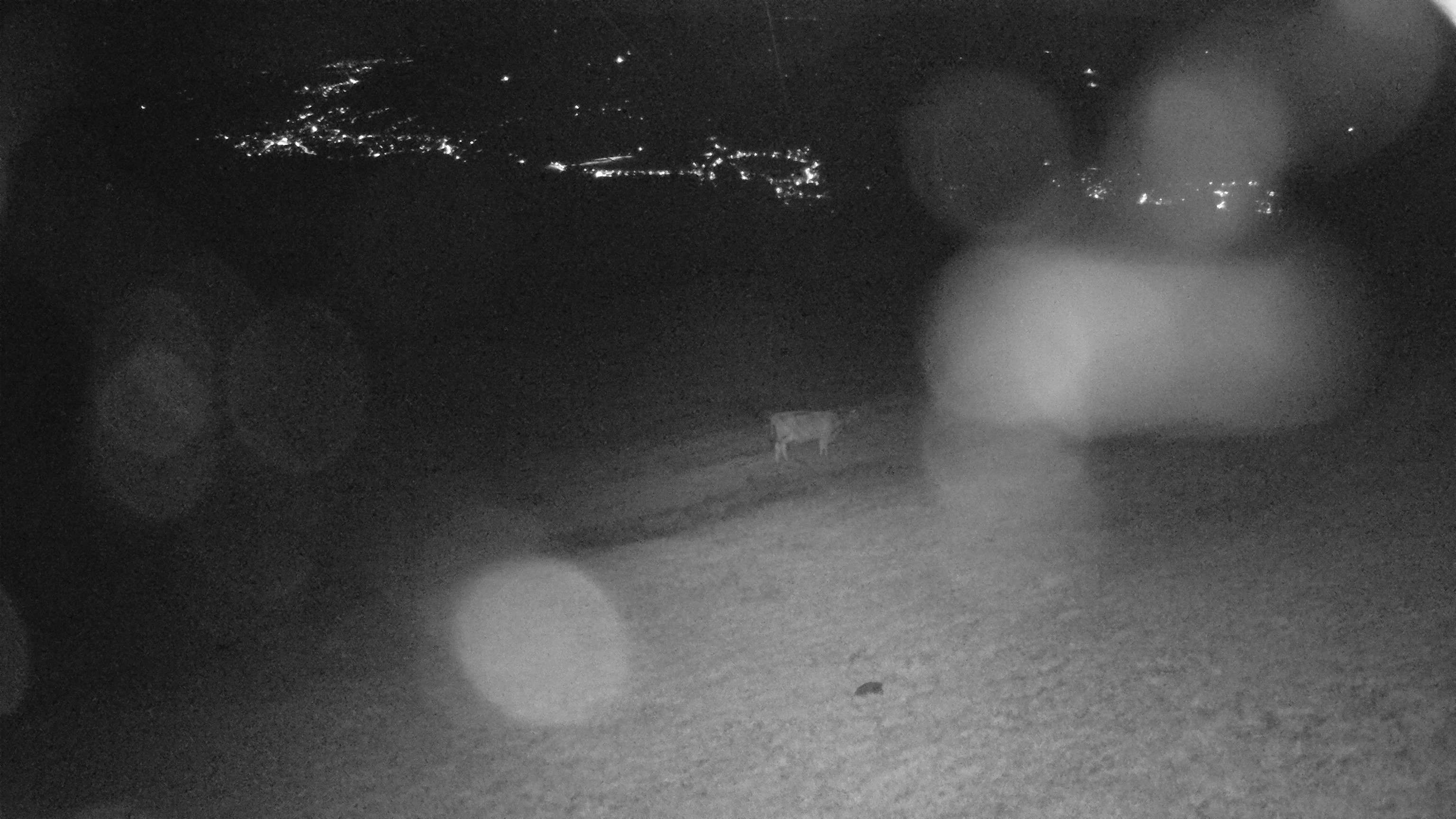 Ebnat-Kappel › Norden: Familienskilift Tanzboden Genossenschaft Ebnat Kappel