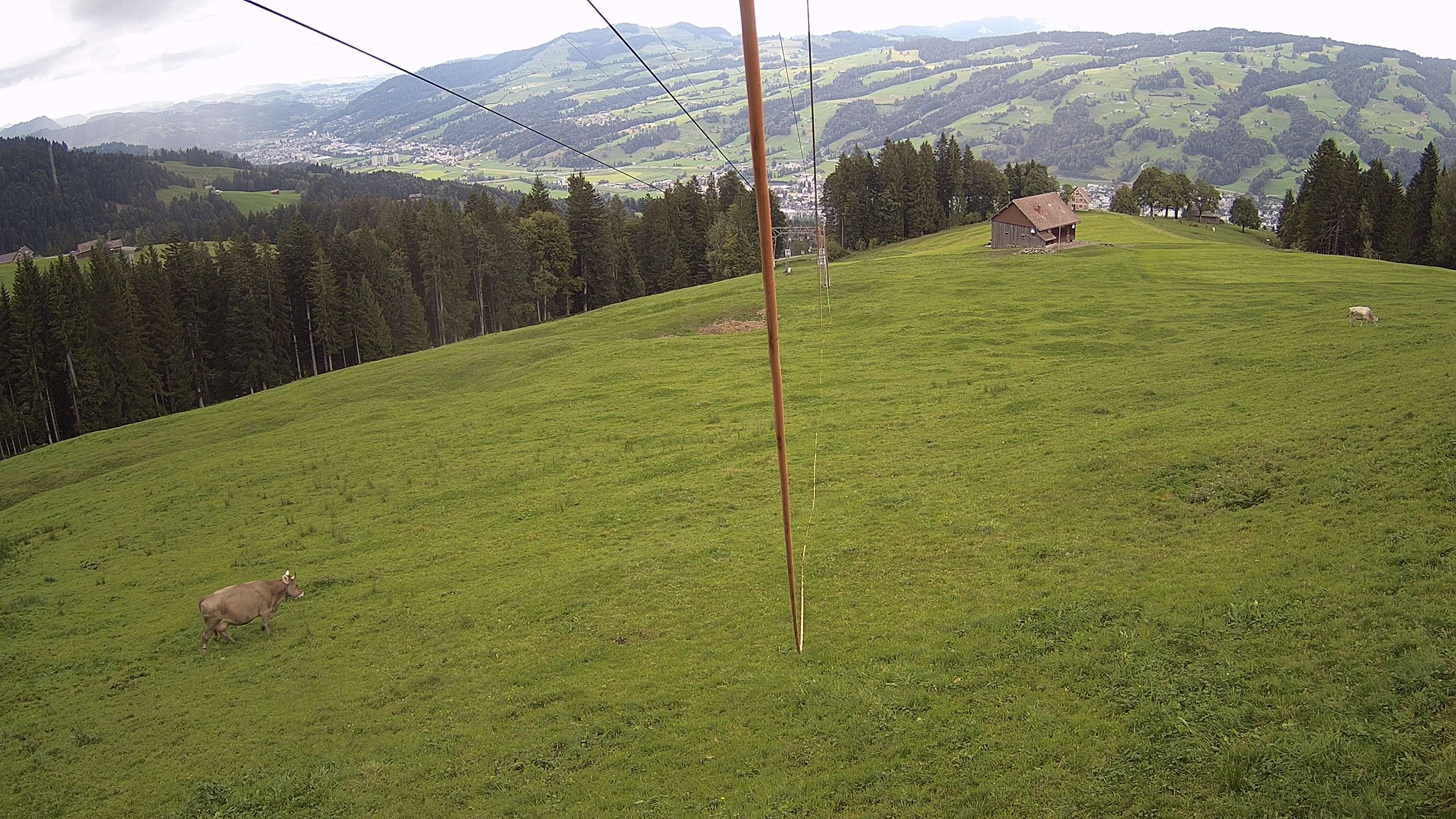 Ebnat-Kappel › Norden: Skigebiet Tanzboden - Skigebiet Tanzobden, Toggenburg