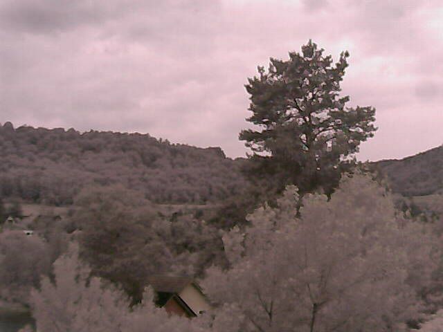 Bad Zurzach › Südwesten: Aargau, Schweiz