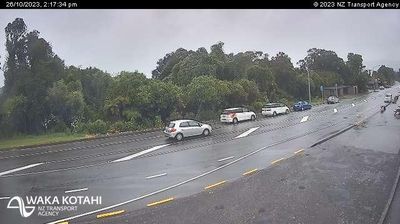 Recent Franz Josef Webcam Image