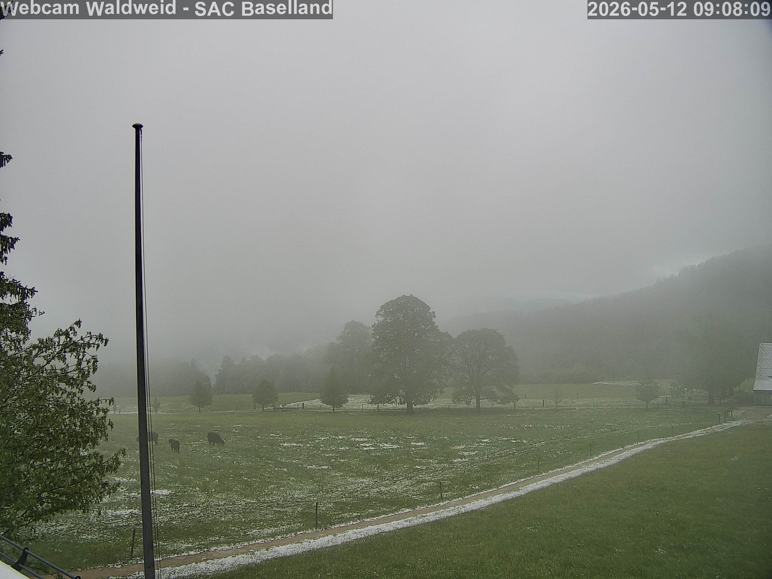 Waldenburg › Südwesten: BL - Basel-Landschaft, Schweiz