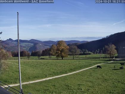 Waldenburg › Süd-West: BL