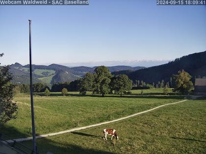 Waldenburg › Süd-West: BL