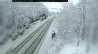 Setermoen: E Brandvoll (Retning nord, moh)