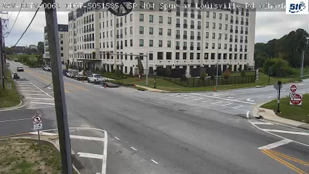 Savannah during daytime