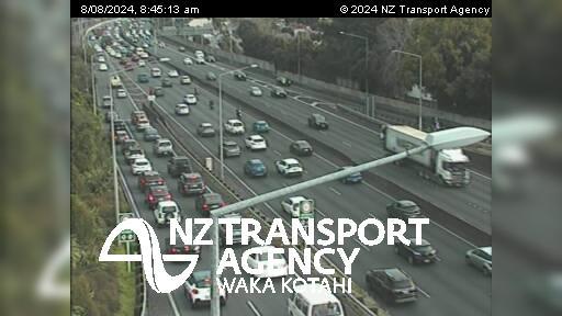 Greenlane Traffic: Albert-Eden North Webcam