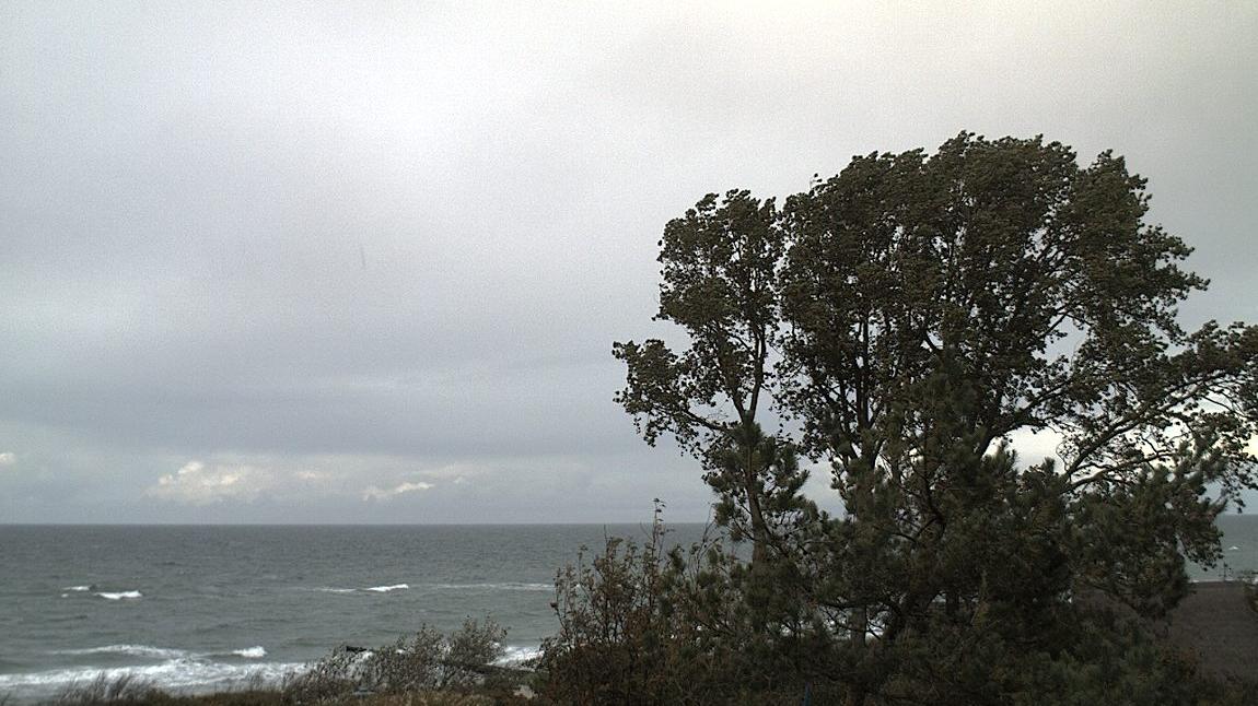 Ahrenshoop: Ostseebad