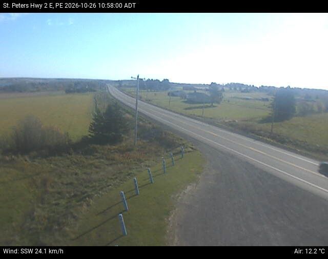 New Zealand webcam