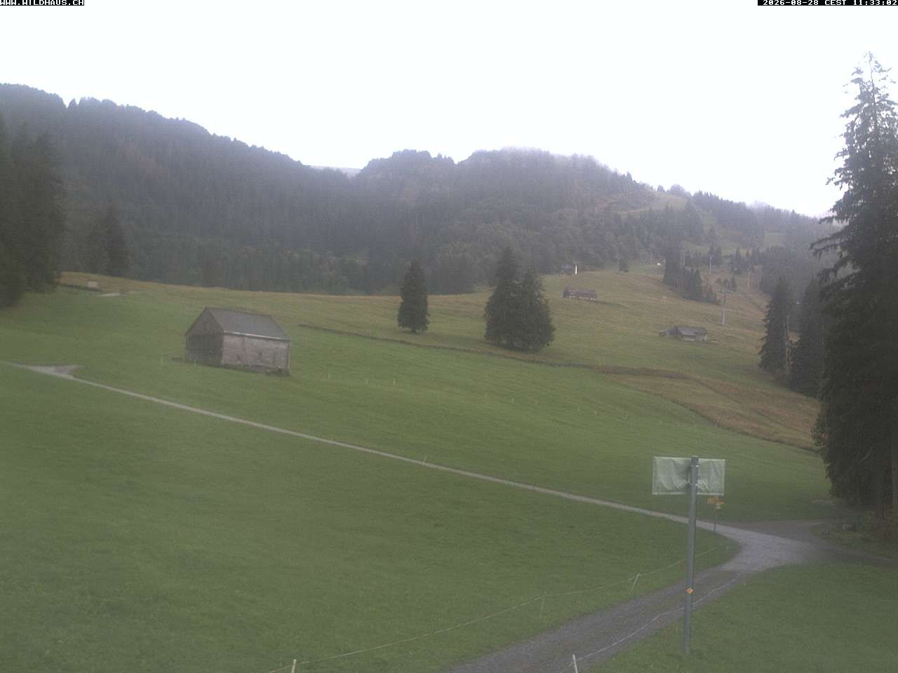 Wildhaus › Süden: Freienalp