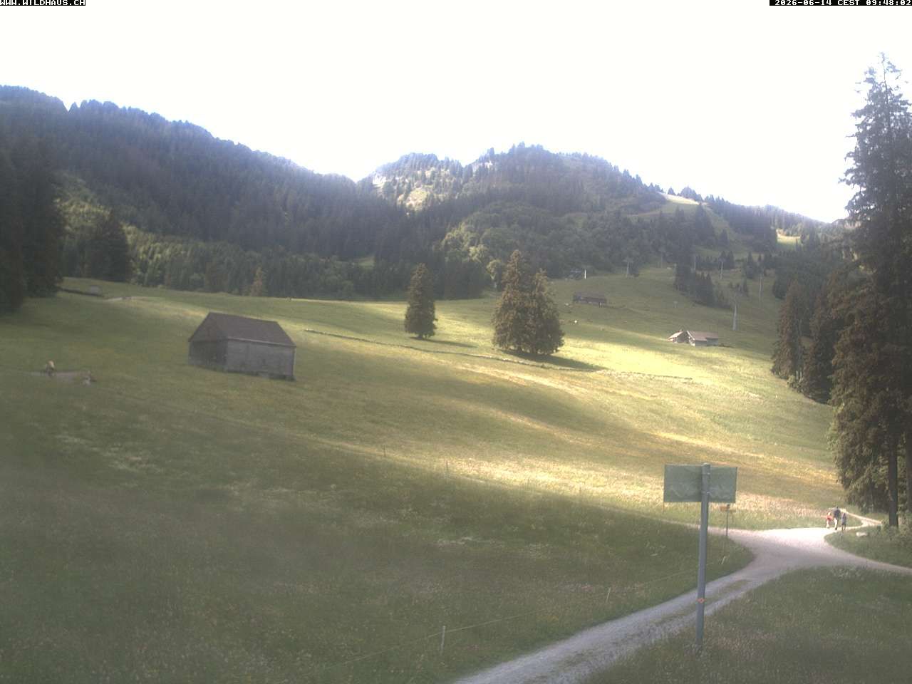 Wildhaus: Freienalp