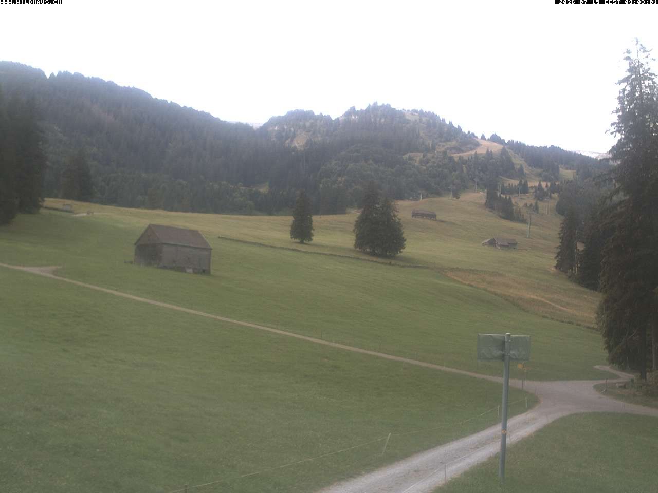 Wildhaus › Süden: Freienalp