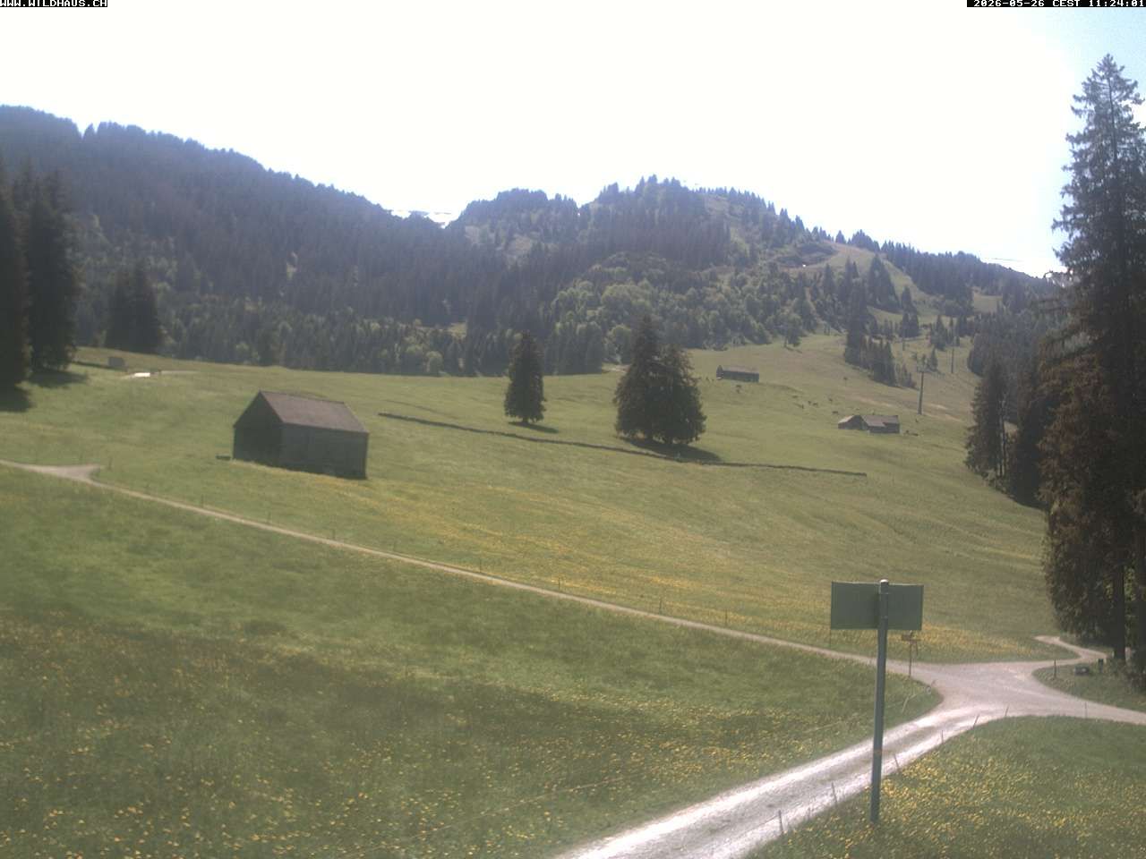 Wildhaus: Freienalp