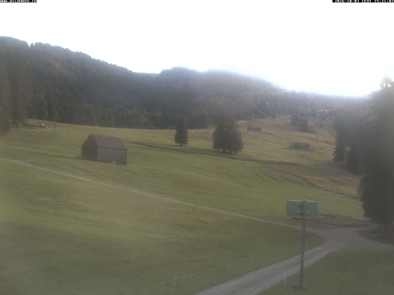 Wildhaus › Süden: Freienalp