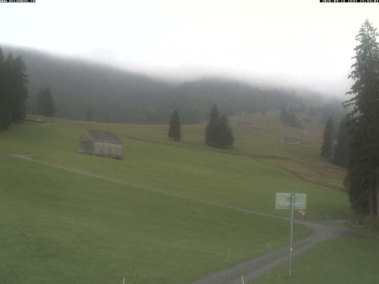 Wildhaus › Süden: Freienalp