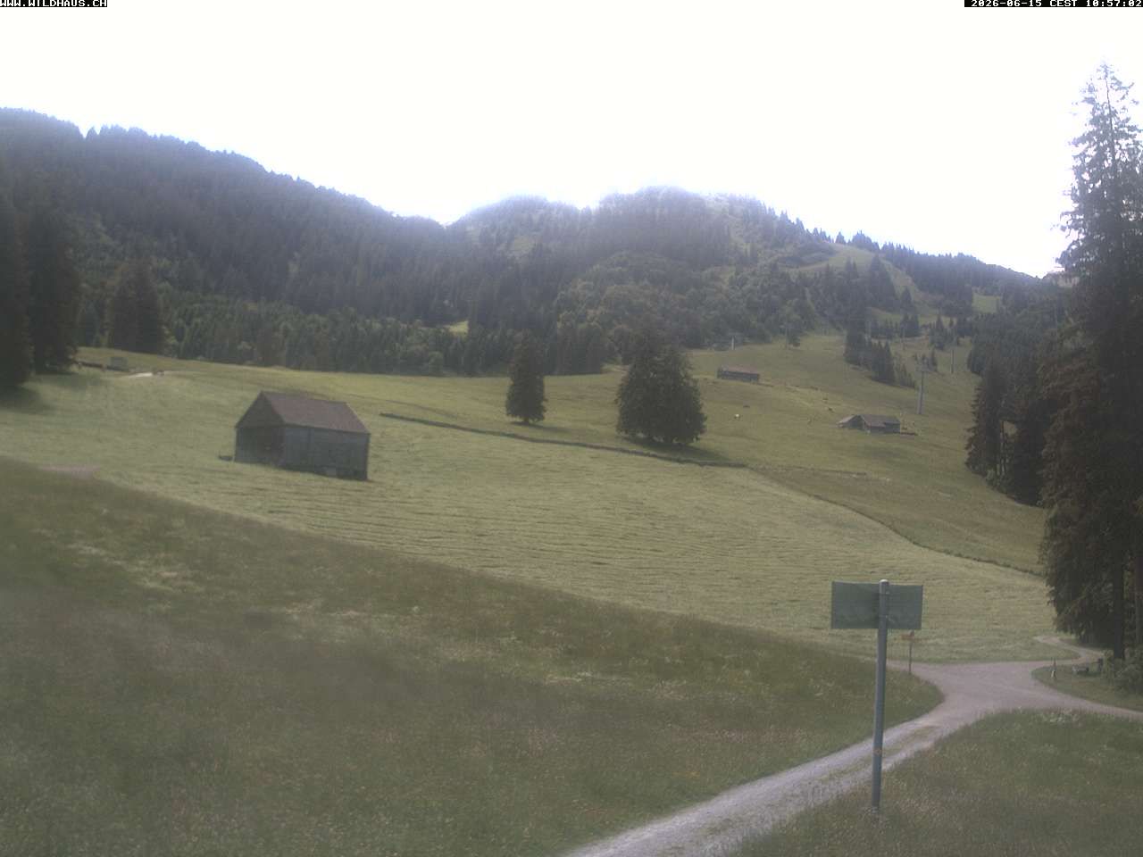 Wildhaus: Freienalp