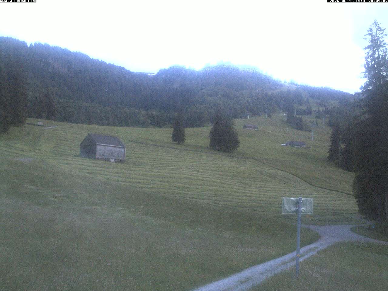 Wildhaus: Freienalp
