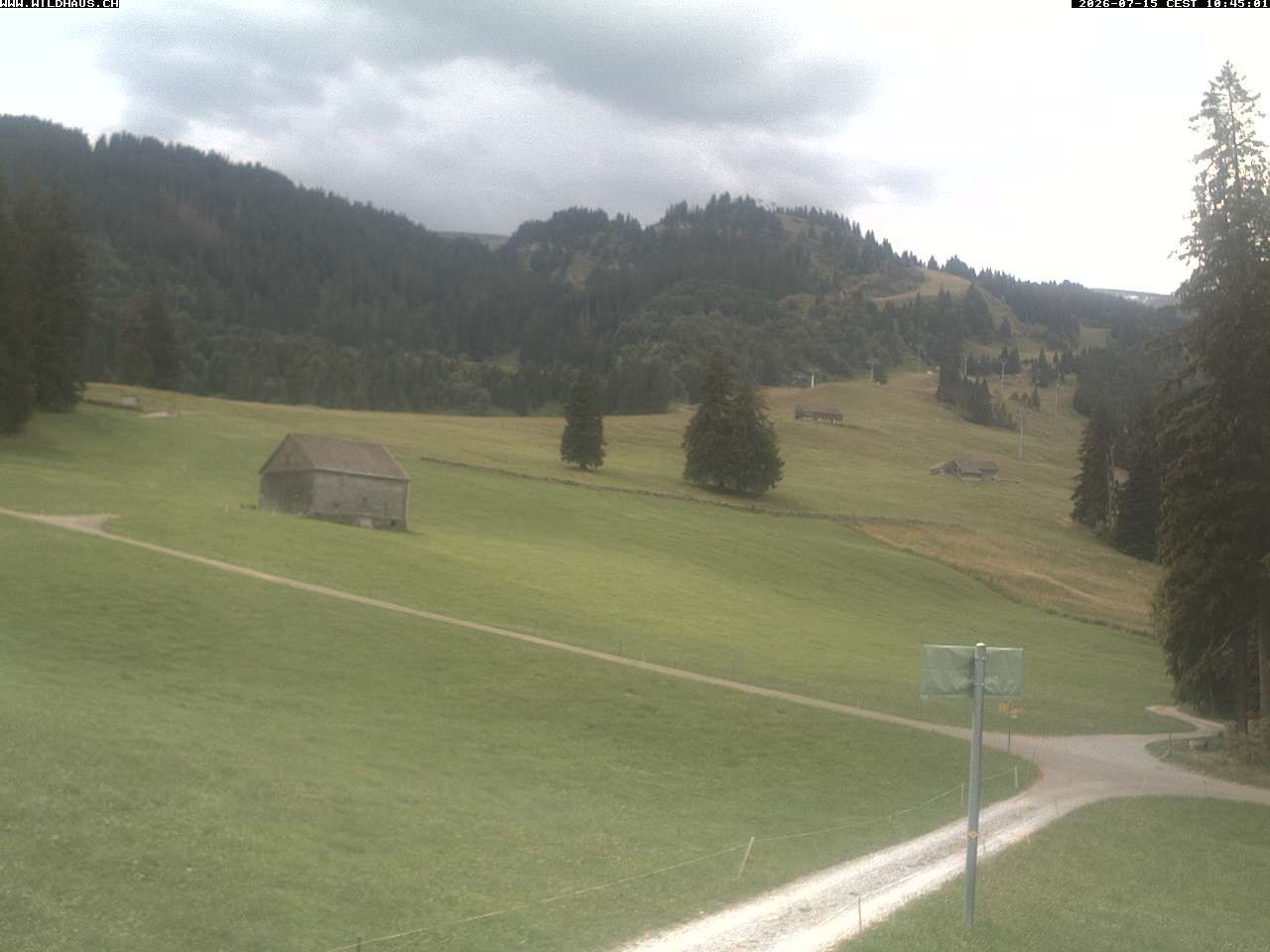 Wildhaus › Süden: Freienalp