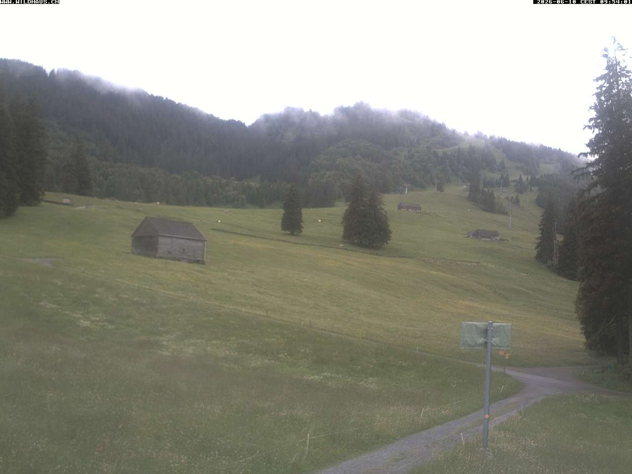 Wildhaus: Freienalp