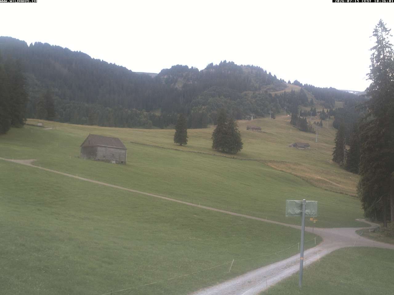Wildhaus › Süden: Freienalp