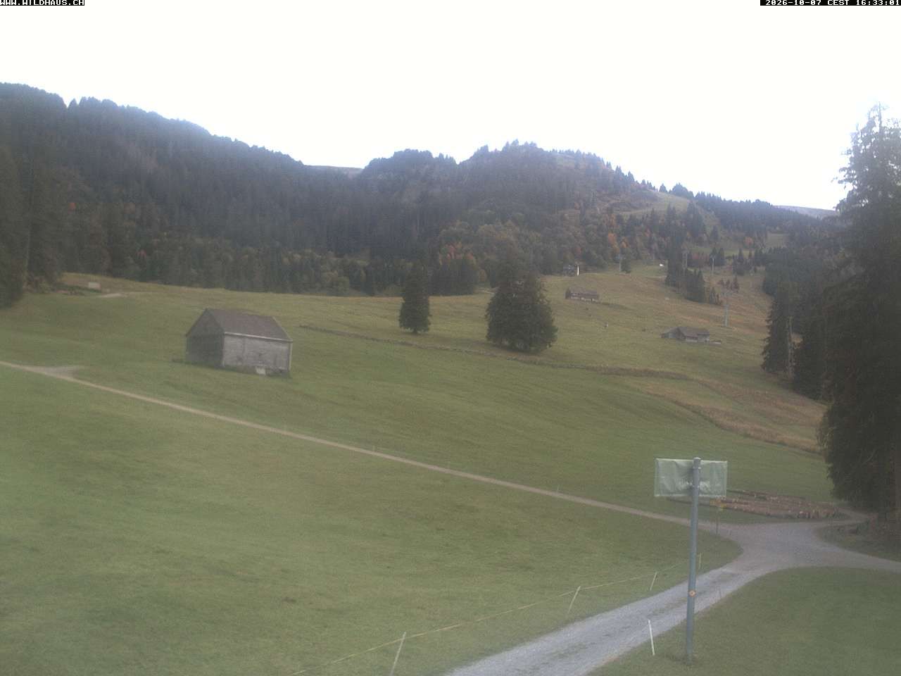 Wildhaus › Süden: Freienalp